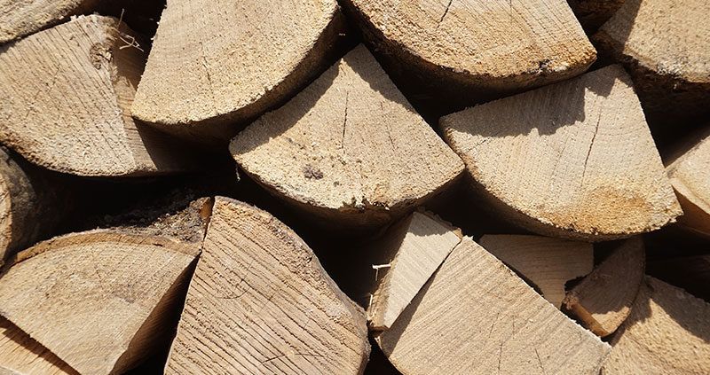 Harde houtsoorten: de voordelen van hardhout