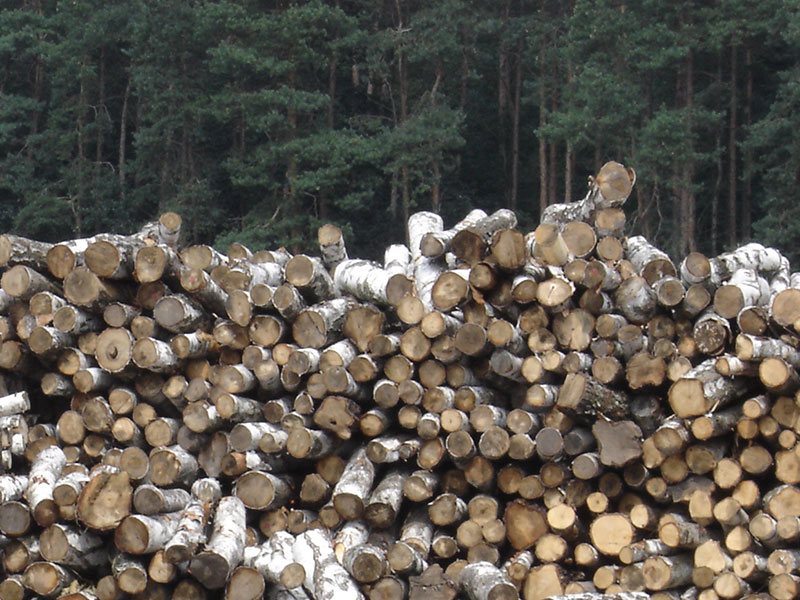fsc producten