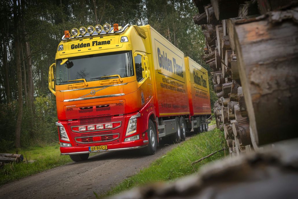 De haardhout handelaar voor droog en hoogwaardig openhaardhout