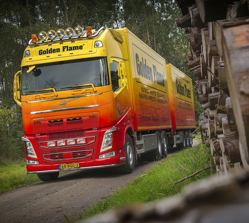 Ovengedroogd haardhout kopen in Almere