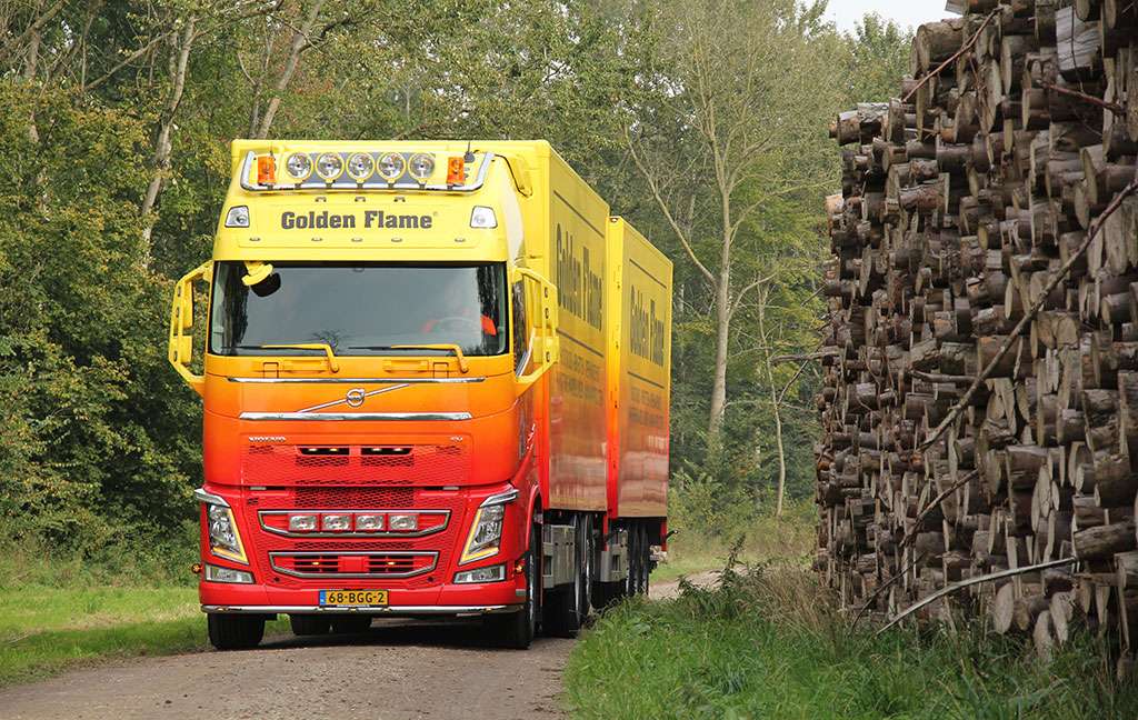 openhaardhout-op-stam-in-bos