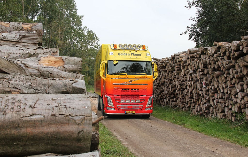 Voorraad houtblokken op pallets bij Golden Flame